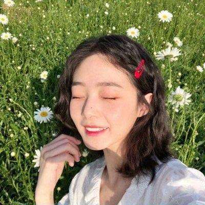 神龙战争内购破解版下载