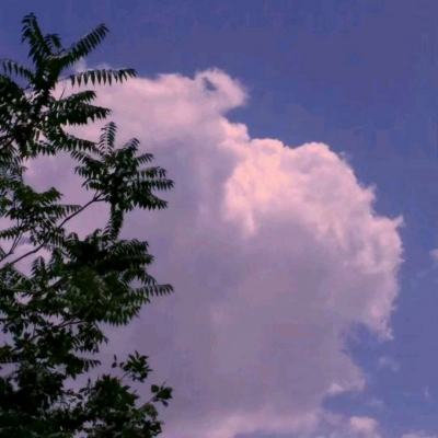 水上乐园滑梯竞速测试服下载